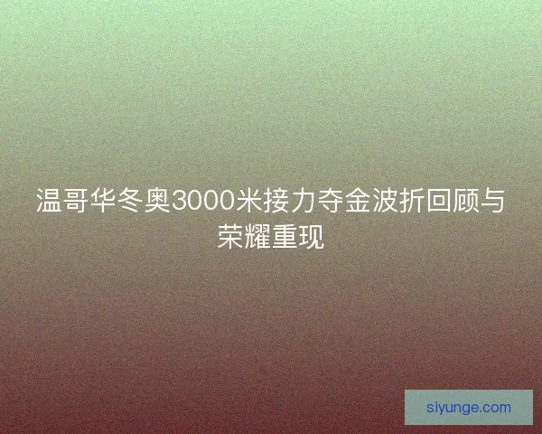 温哥华冬奥3000米接力夺金波折回顾与荣耀重现